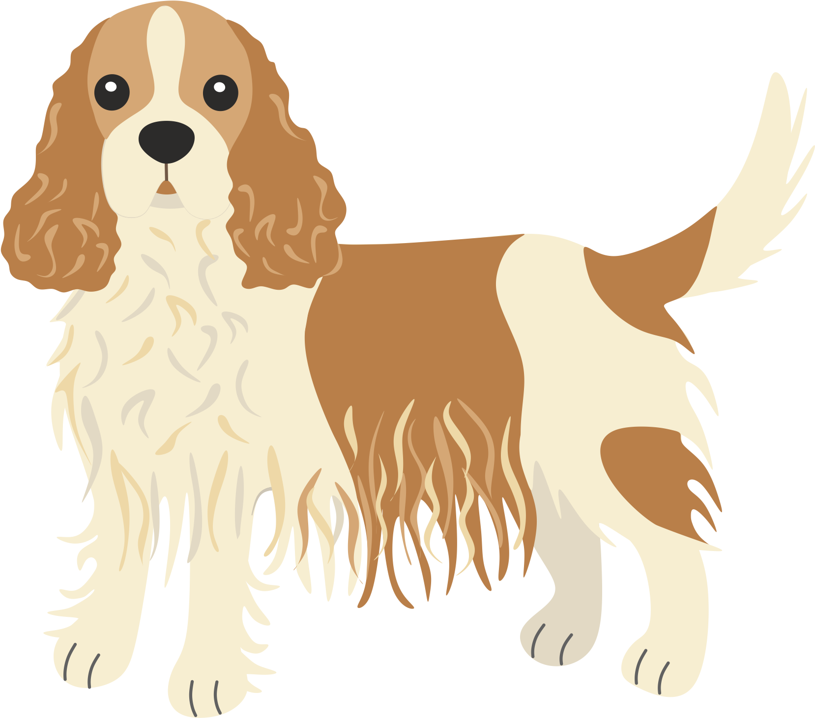 Cav Barks 6 Times Every Time He Sees The Mailman - English Cocker Spaniel Clipart (1800x1800), Png Download