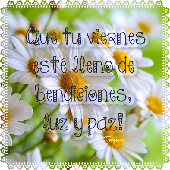 Qué Tu Viernes Esté Lleno De Bendiciones, Luz Y Paz - Gänseblümchen Clipart (564x564), Png Download