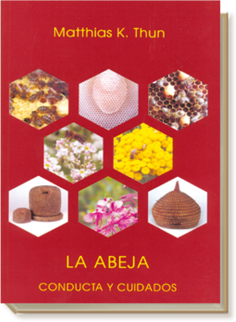 Abeja - Abeja Matthias K Thun Segunda Mano Clipart (1200x1200), Png Download
