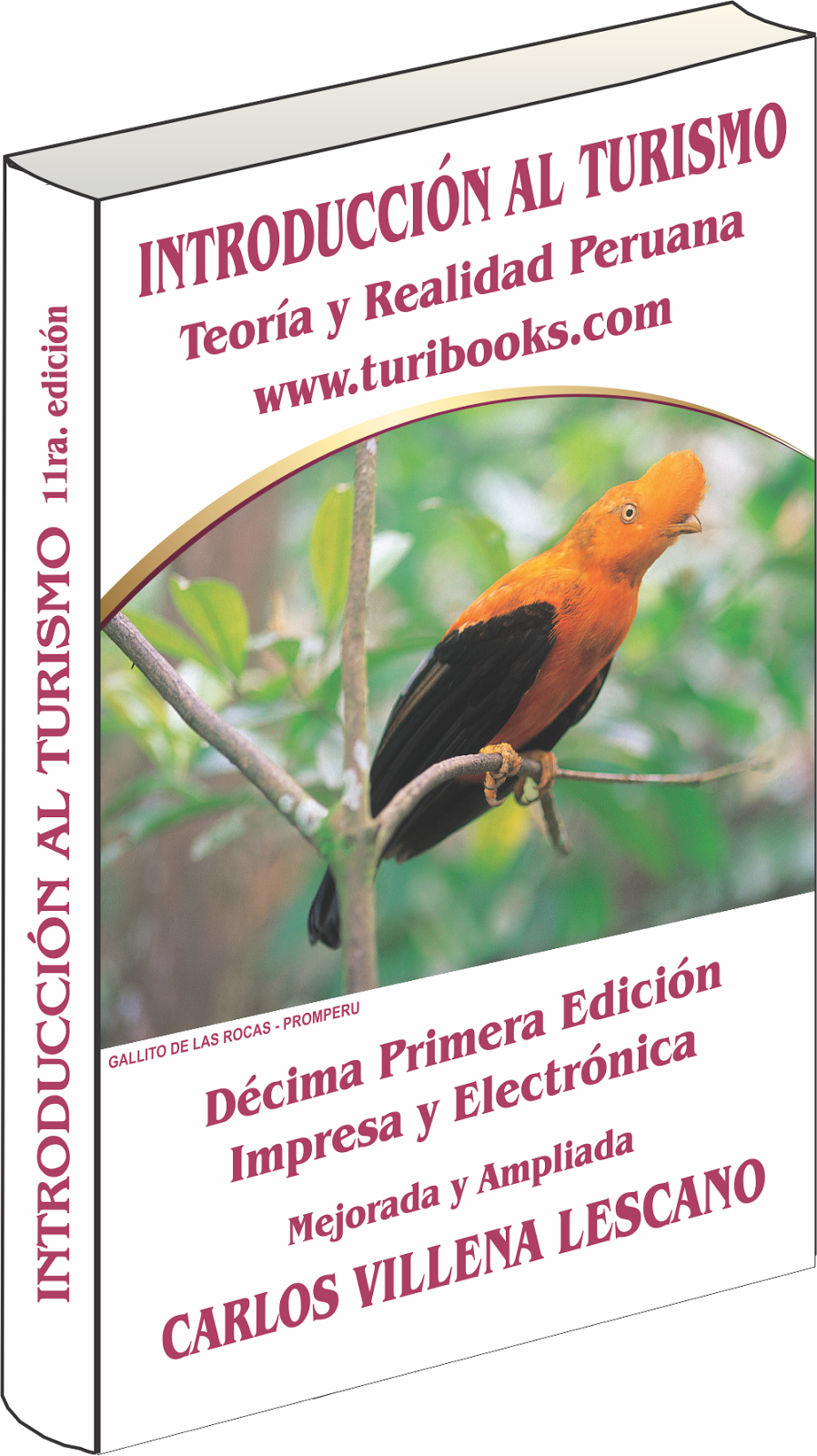 Introducción Al Turismo - Flyer Clipart (898x1600), Png Download