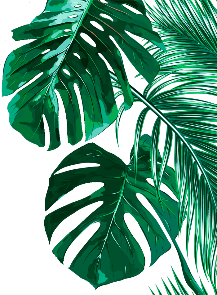 Tropical Banana Leaves Background Clipart Large Size Png Image PikPng