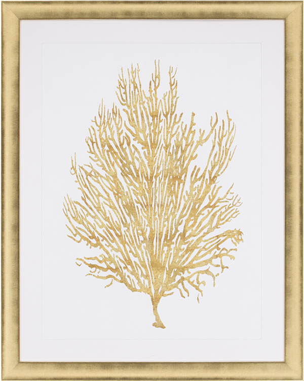 Sea Life V - Picture Frame Clipart (750x750), Png Download