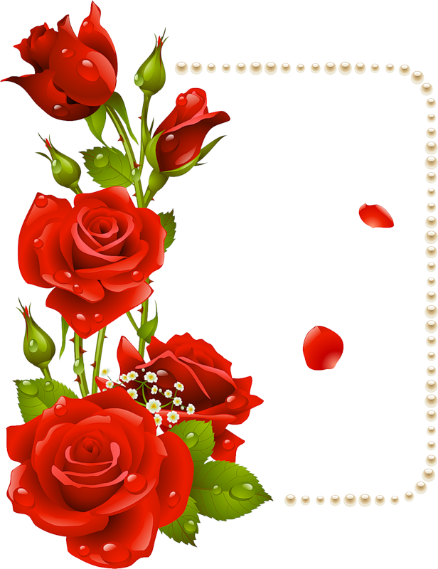 Fotos De Flores Rosas, Flores Bonitas, - Rose Flower Design Border Png Clipart (616x800), Png Download