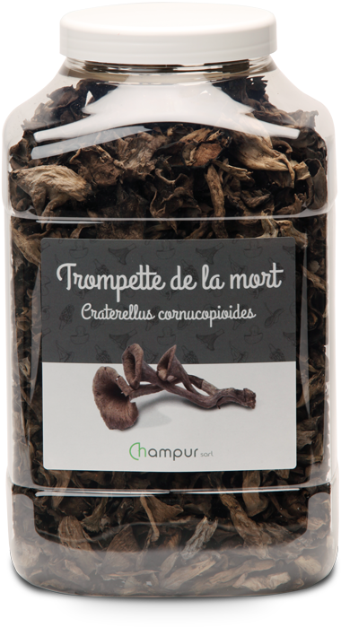 Trompeta De Los Muertos - Chocolate Clipart (831x831), Png Download