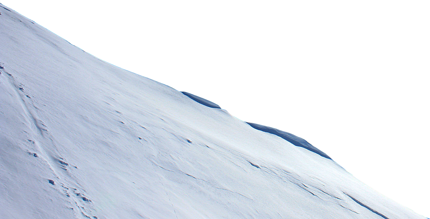 But Animation Is Disabled At The Moment, Likely Because Clipart (1405x715), Png Download