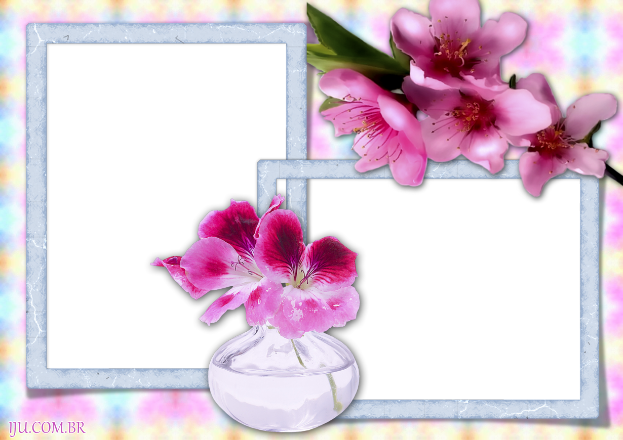 Molduras Para Fotos Flores - Cattleya Clipart (1230x870), Png Download