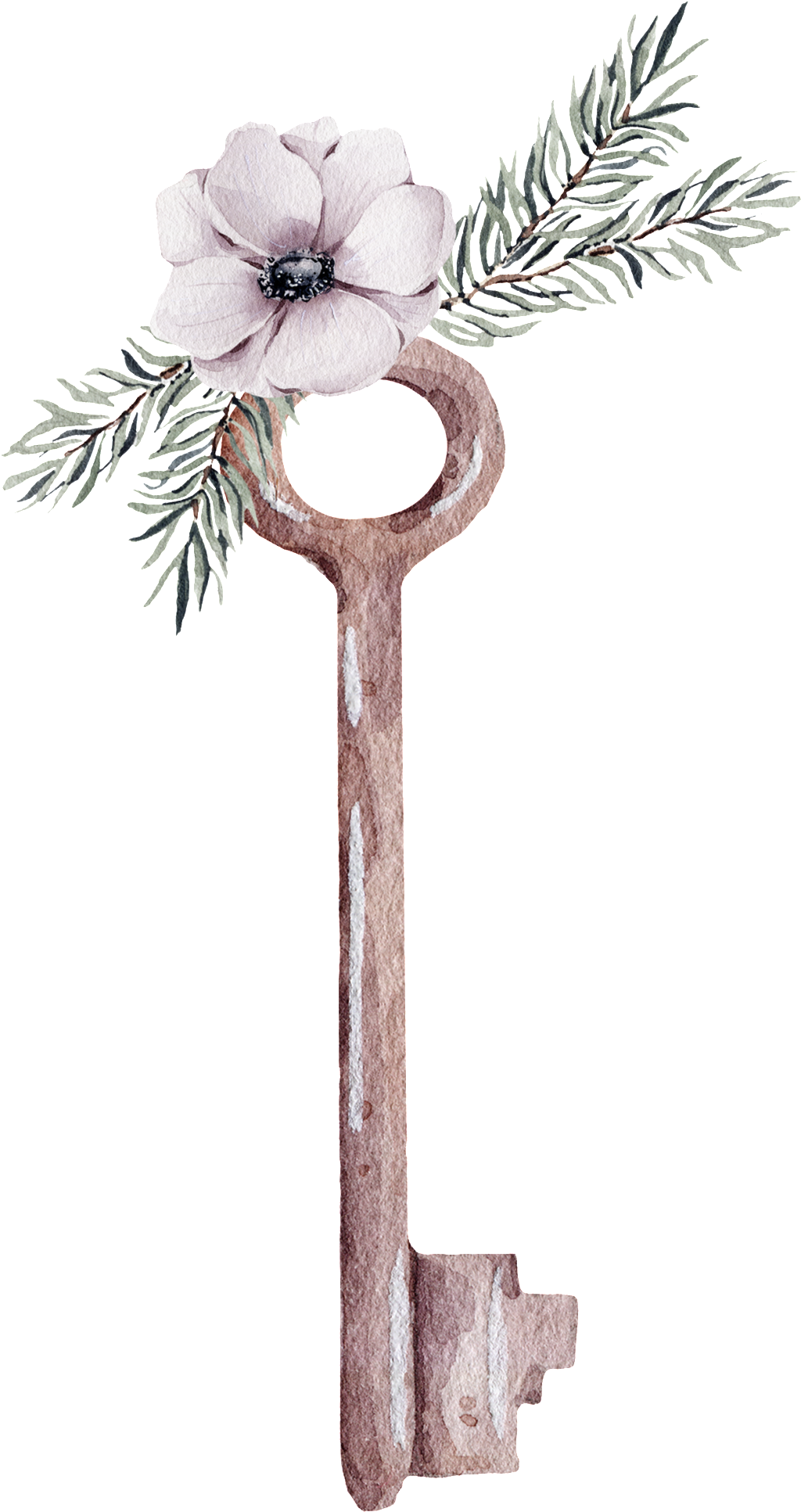 Flor Blanca Llave Transparente Ornamento Png - Cattleya Clipart (1024x1933), Png Download