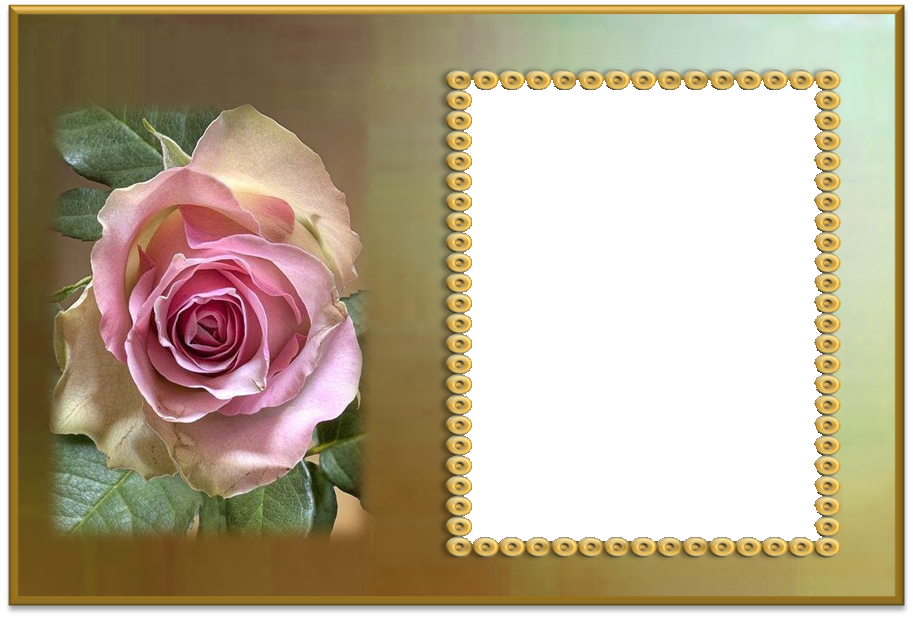 Molduras Para Fotos Com Flores Trabalho De Terezinha - Buona Domenica Fiori Gif Clipart (913x618), Png Download