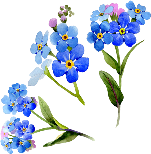 Wildflower Vector Watercolor - Blue Flower Frame Png Clipart (640x640), Png Download