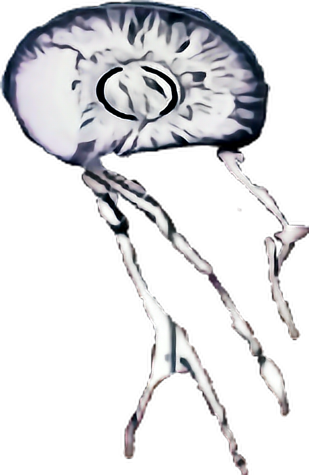 Byakugan Sticker - Illustration Clipart (604x928), Png Download