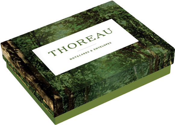 Thoreau Notecards - Grass Clipart (580x580), Png Download