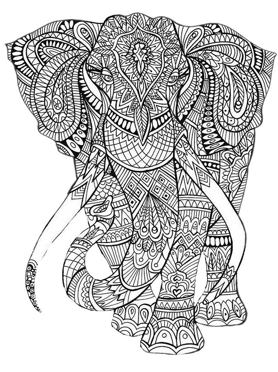 Mandalas Elefante Sticker - Printable Animal Colouring Pages Clipart (572x764), Png Download