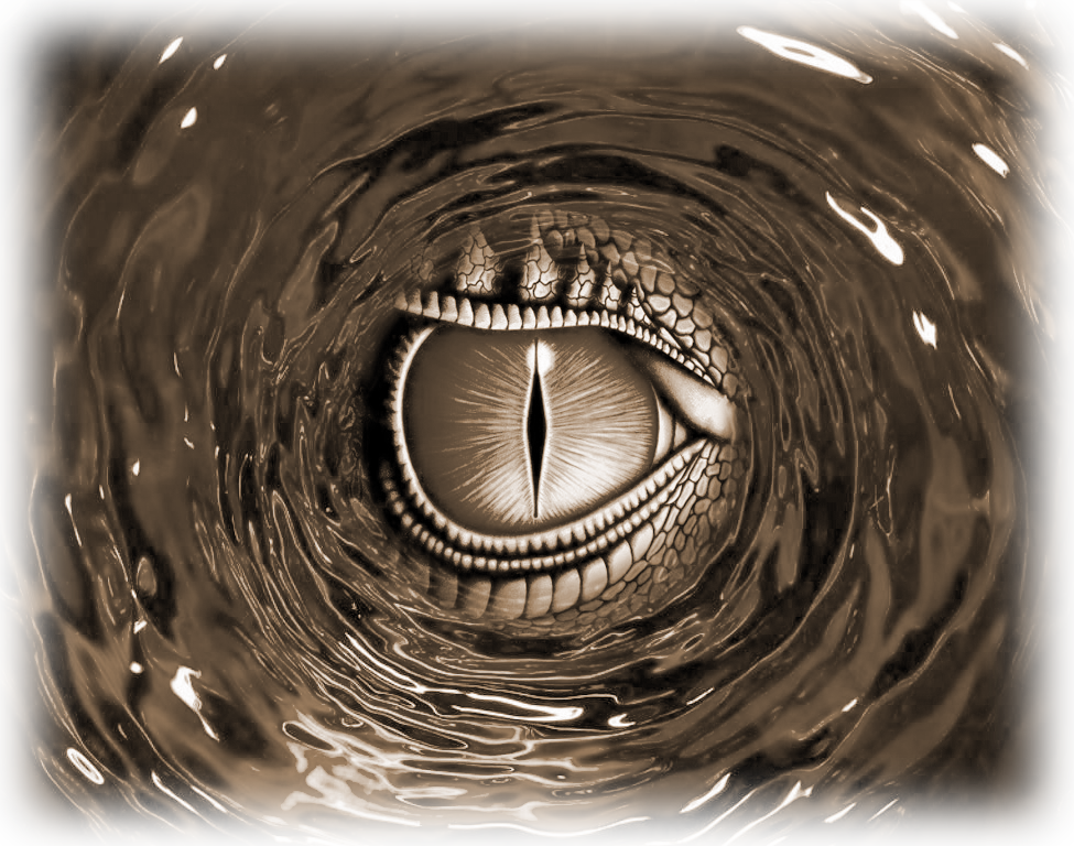 Dragon Eye Whirlpool Brown - Pap3l De Parede Para Celular 3d Clipart (975x768), Png Download