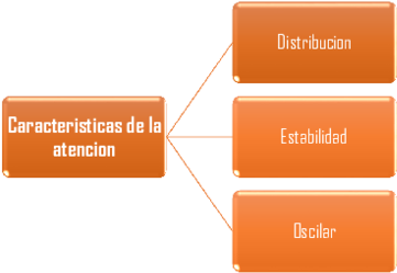 Docx - Orange Clipart (600x776), Png Download