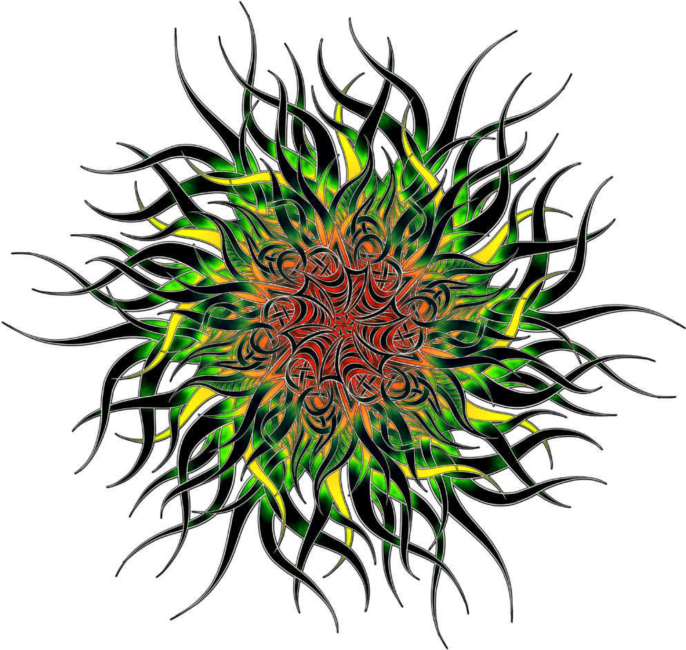 Share This - - Circle Clipart (1000x1200), Png Download