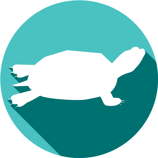 Logo - Green Sea Turtle Clipart (750x750), Png Download