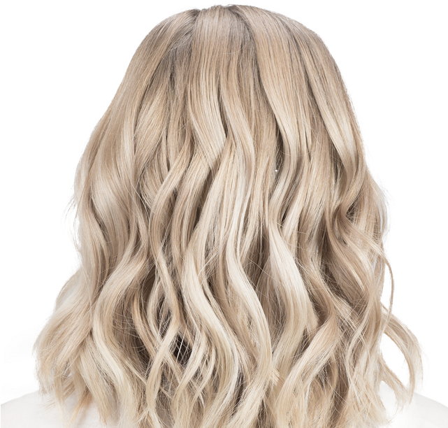 11aa Lightest Ash Blonde With Smokey Undertones - Blonde Hair From Back Clipart (640x641), Png Download