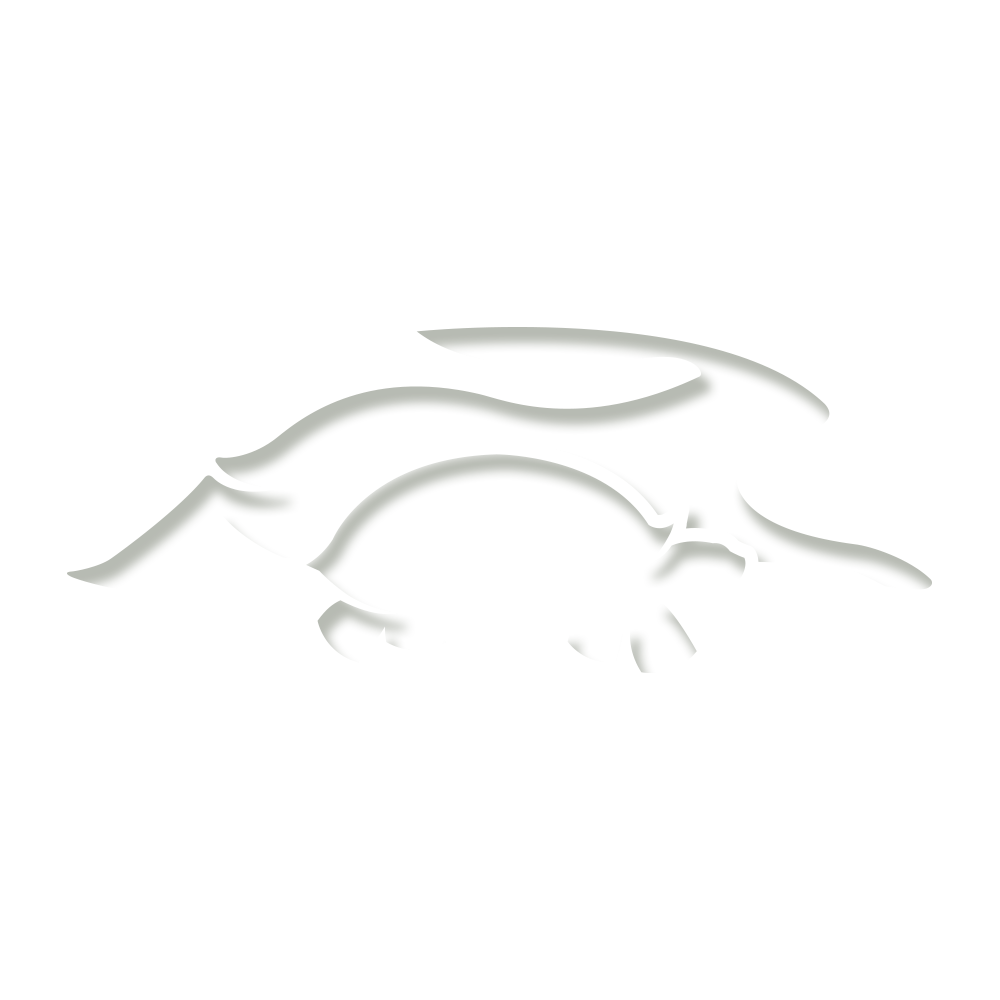 Image - Illustration Clipart (1000x1000), Png Download