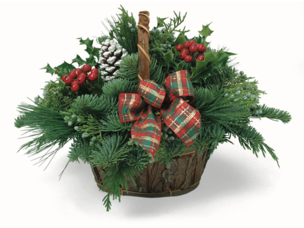 Christmas Tree Clipart (600x600), Png Download