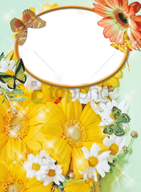 Free Png Sunflowermothers Day - Frames For Photoshop Clipart (480x654), Png Download
