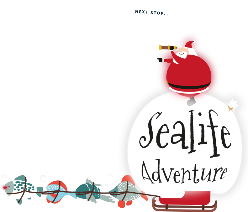 For Everyone - Sea Life Christmas Clipart (790x692), Png Download