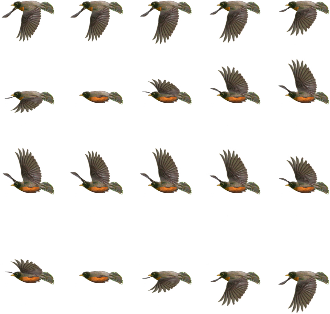 Game Dev, New Artists, Drawing Tips, Pigeon, Game Design, - Bird Flying Flip Book Clipart (1200x1256), Png Download