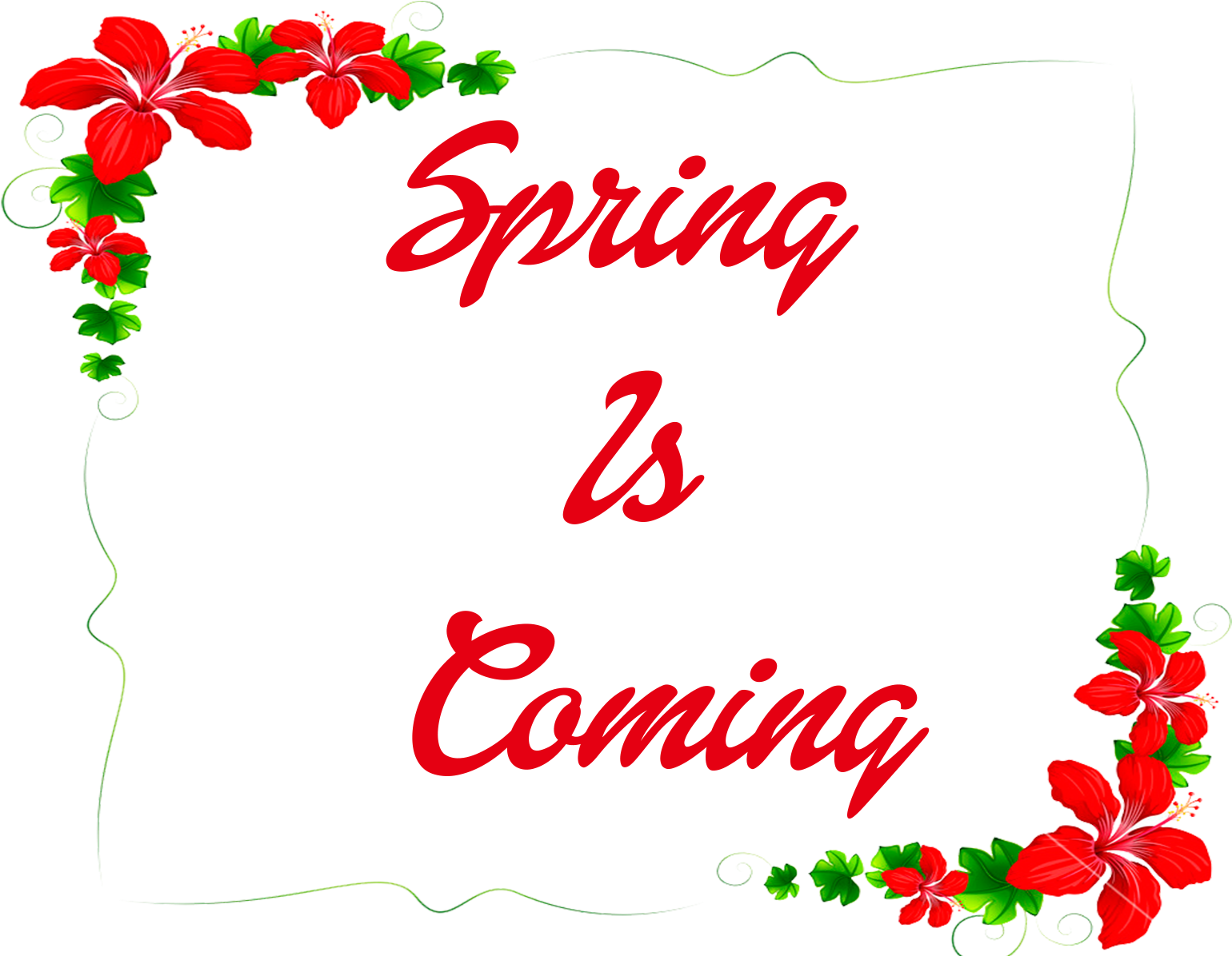 White Background Flowers Border Clipart (1920x1200), Png Download