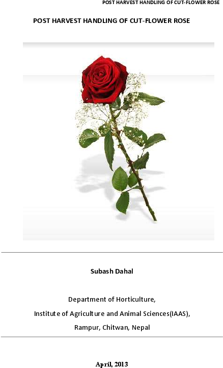 Pdf - Floribunda Clipart (612x792), Png Download