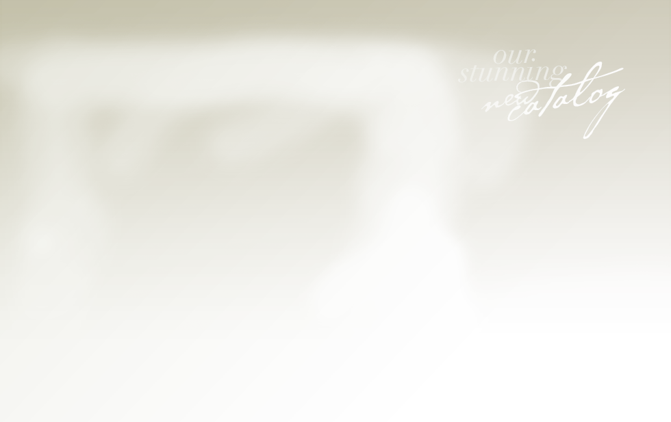 Catalogue-background - - Miguel Amandote A La Italiana Clipart (980x617), Png Download