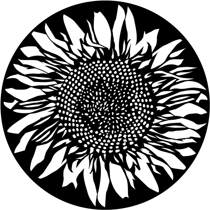 More Views - Sunflower - Sunflower Gobo Clipart (800x800), Png Download