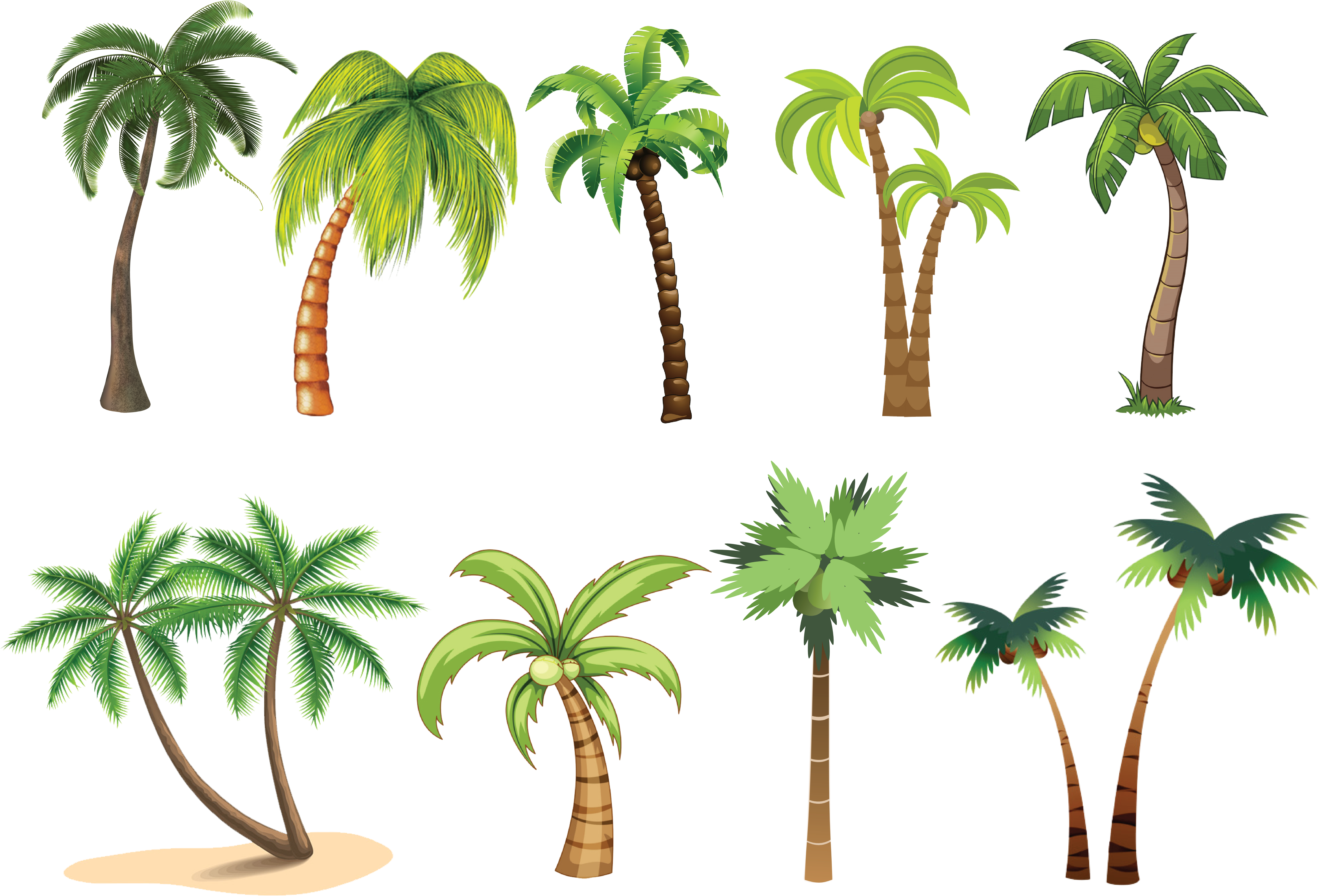 Palm Tree Clip Art , Png Download - Palm Tree Clip Art Transparent Png (6021x4094), Png Download