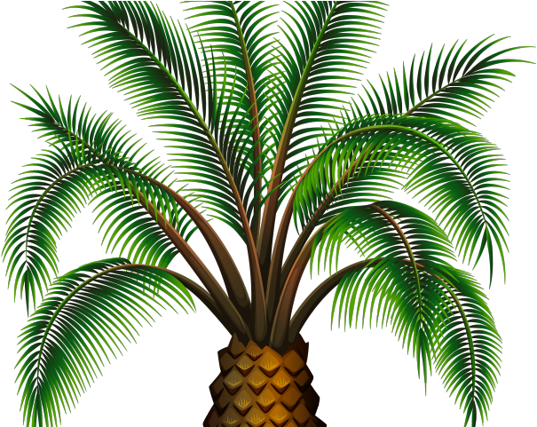 Date Palm Clipart Palm Oil Tree - Gambar Pohon Kurma Kartun - Png Download (640x480), Png Download