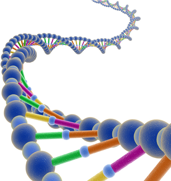 Dna - Dna Png Transparent Clipart (600x600), Png Download