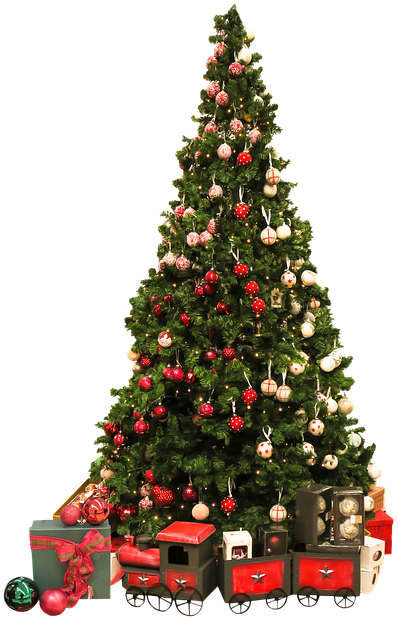 Christmas, Christmas Tree, Christmas Ornaments - Greetings For Christmas Season Clipart (556x720), Png Download