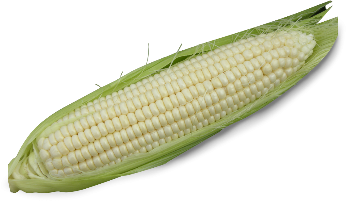 Home / Product Information - Corn On The Cob Clipart (1200x1200), Png Download