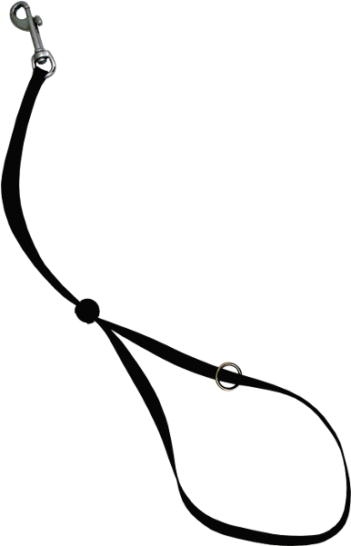 Dog Grooming Noose Clipart (600x600), Png Download