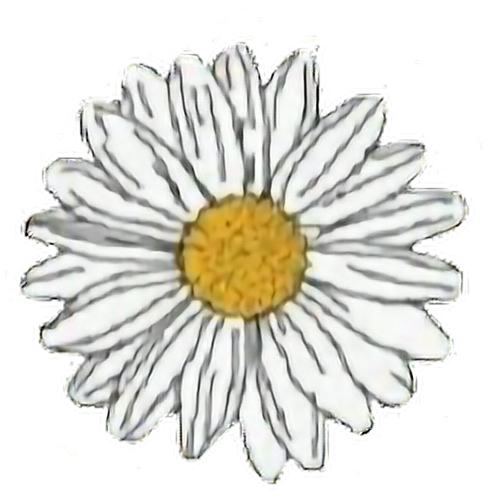 Flower Sticker - Transparent Daisy Stickers Clipart (1024x1024), Png Download