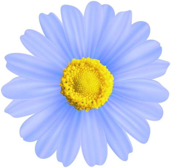 Flower Blue Decorative Transparent Image - Blue Flowers Png Clipart (600x591), Png Download