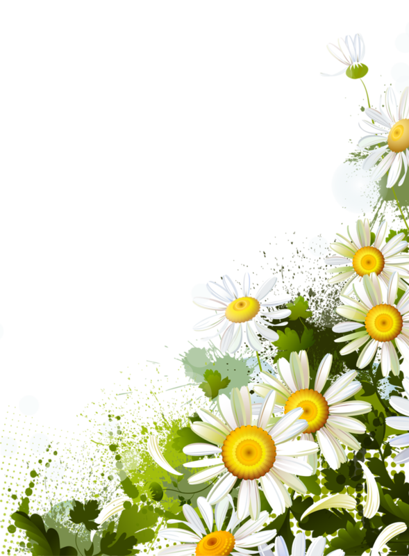 Daisies Corner Png Clipart (589x800), Png Download