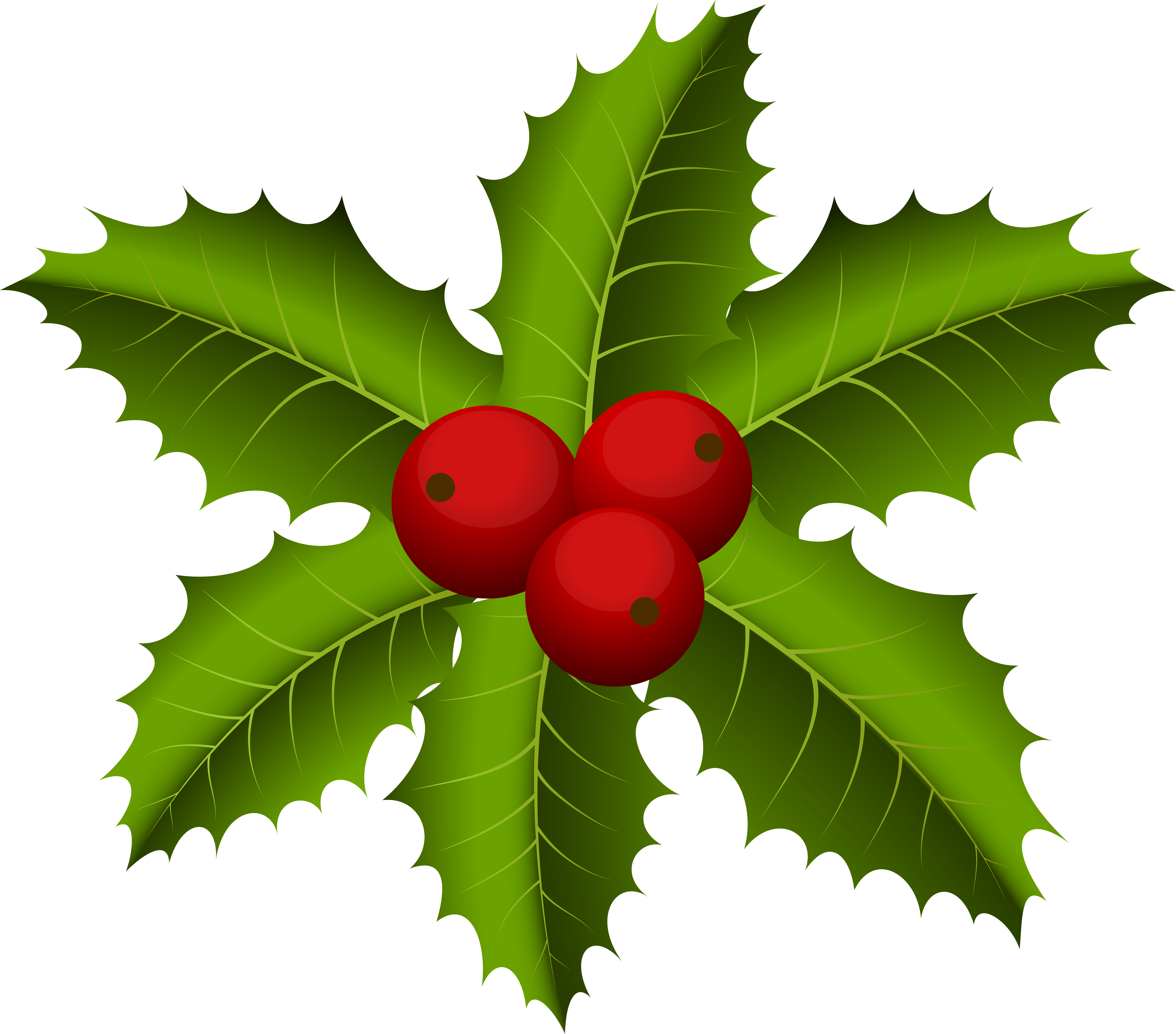 Christmas Mistletoe Png Clip Art Transparent Png (8000x7027), Png Download