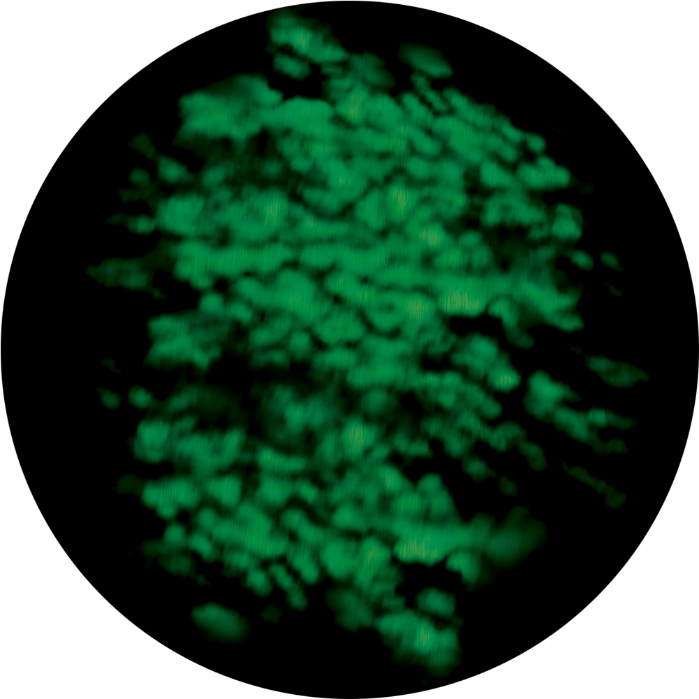 Glass , Png Download - Circle Clipart (669x669), Png Download