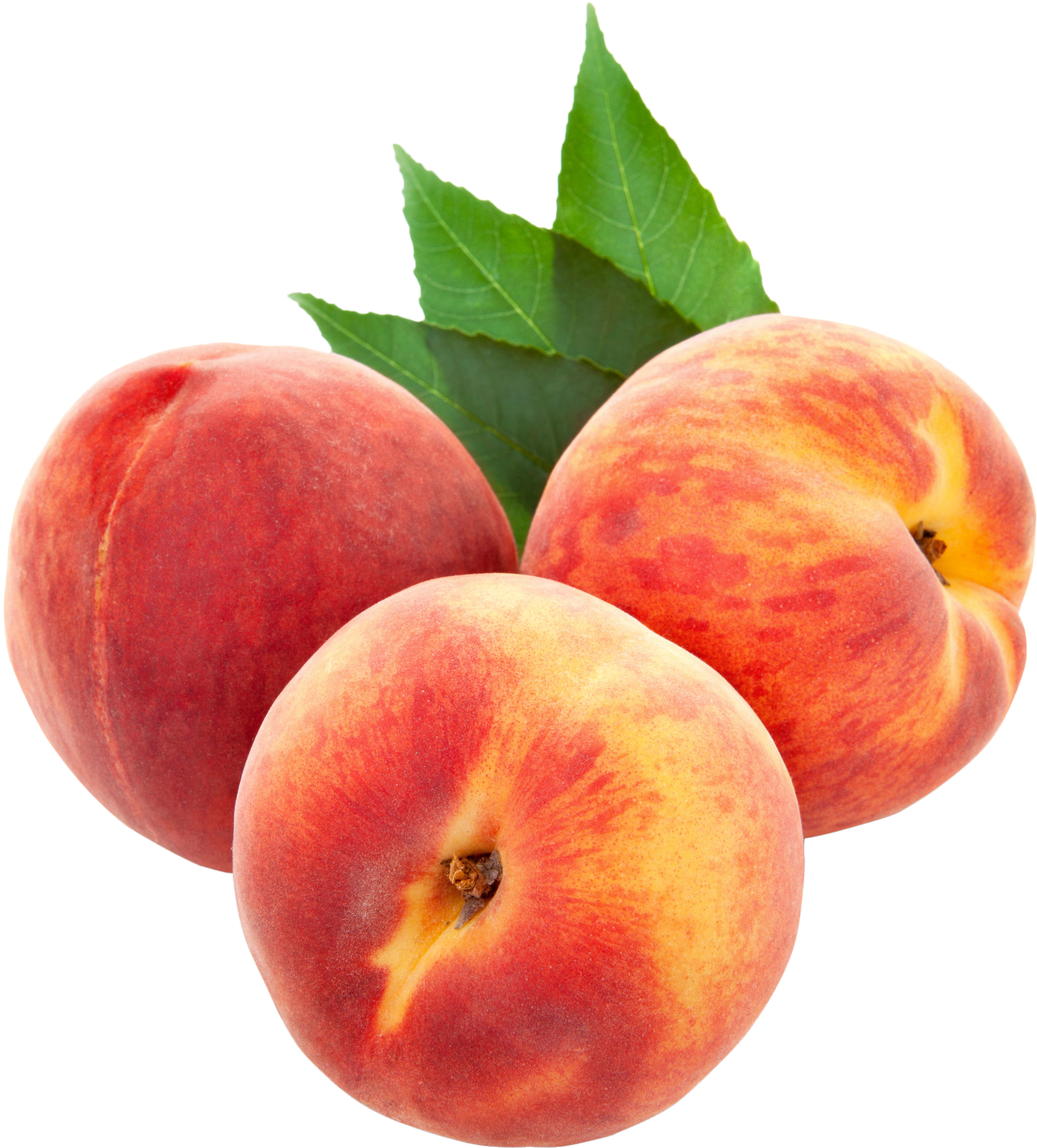 Large Png Peaches Clipart - Peaches Clipart Png Transparent Png (2500x2721), Png Download