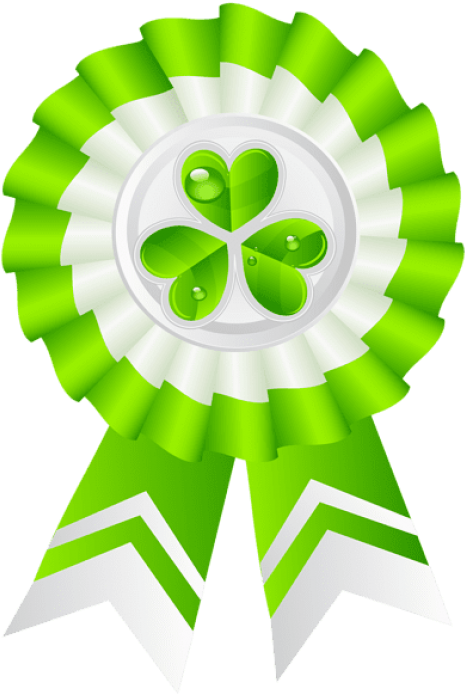 Free Png Download St Patricks Day Seal With Shamrock - St Patrick's Day Awards Clipart (480x717), Png Download