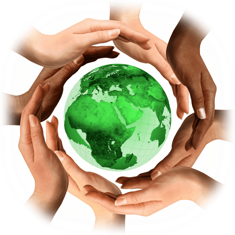 Globe In Hand Png - World Environment Day 2017 Clipart (800x800), Png Download