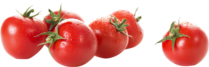 Transparent Library Cherry Tomato Computer Fresh Fruits - Cherry Tomato Png Clipart (800x472), Png Download