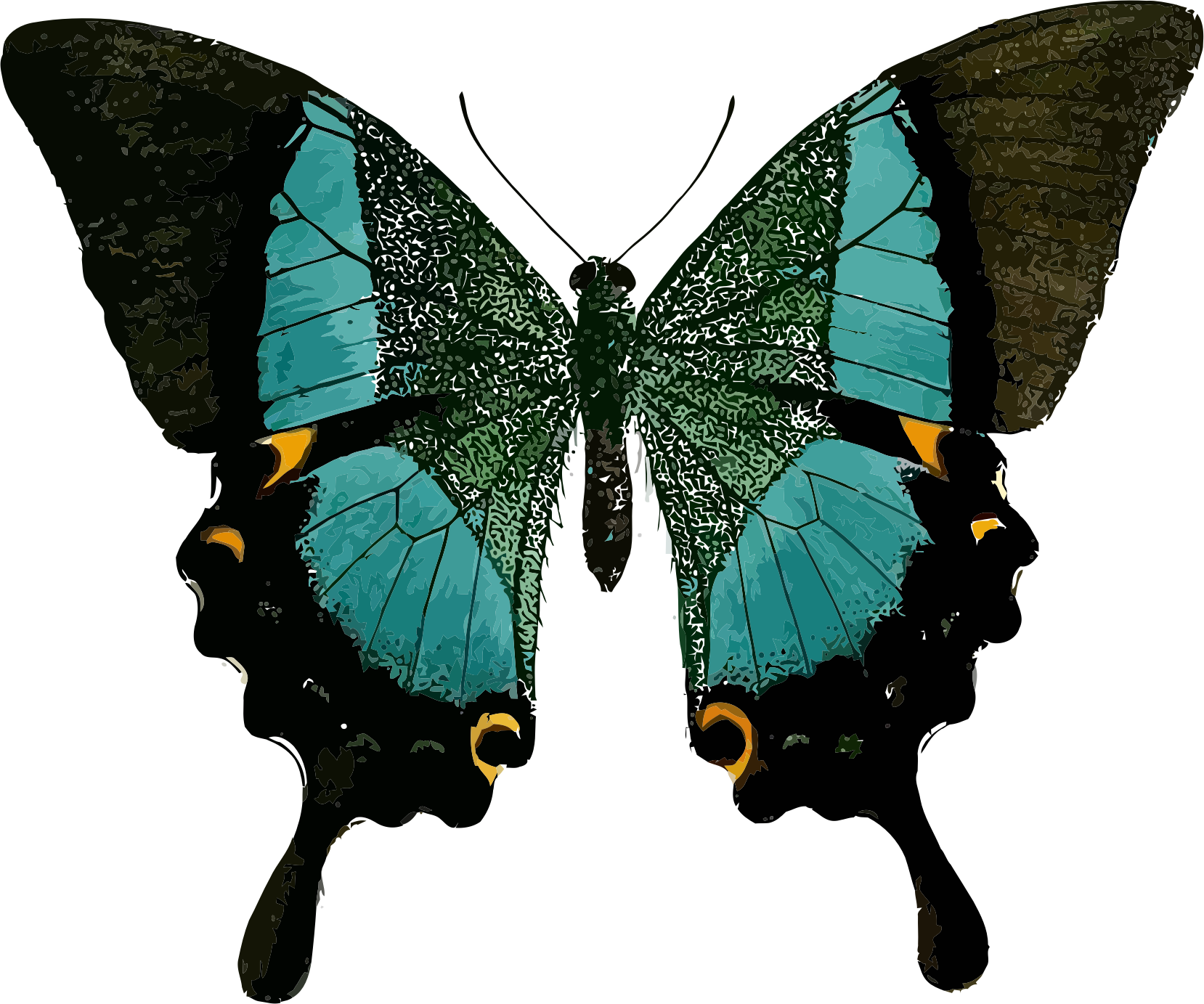 This Free Icons Png Design Of Papilio Buddha - Butterfly Line Of Symmetry Clipart (1658x1383), Png Download