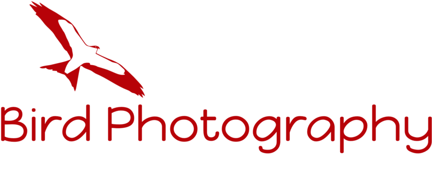 Bird Photography-logo Format=1500w Clipart (1000x472), Png Download