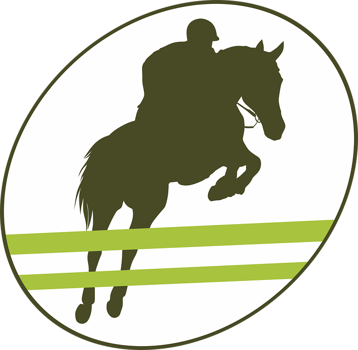 Jump Obstacle Equestrian Horse Equine Jumper - Horseback Riding Jumping Png Clipart (736x720), Png Download