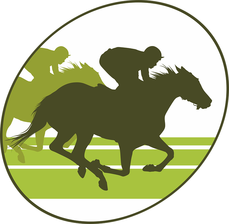 Horse Racing Horse Equine Jumper Horseback Riding - Horse Race Silhouette Png Clipart (736x720), Png Download