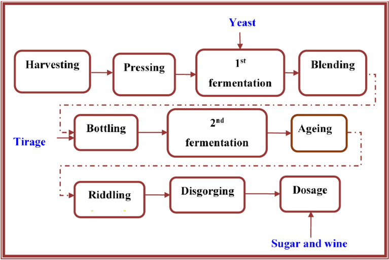 A Flow Diagram Of The Stages Of The Sparkling Winemaking - Wine Making Process Flow Diagram Clipart (850x525), Png Download
